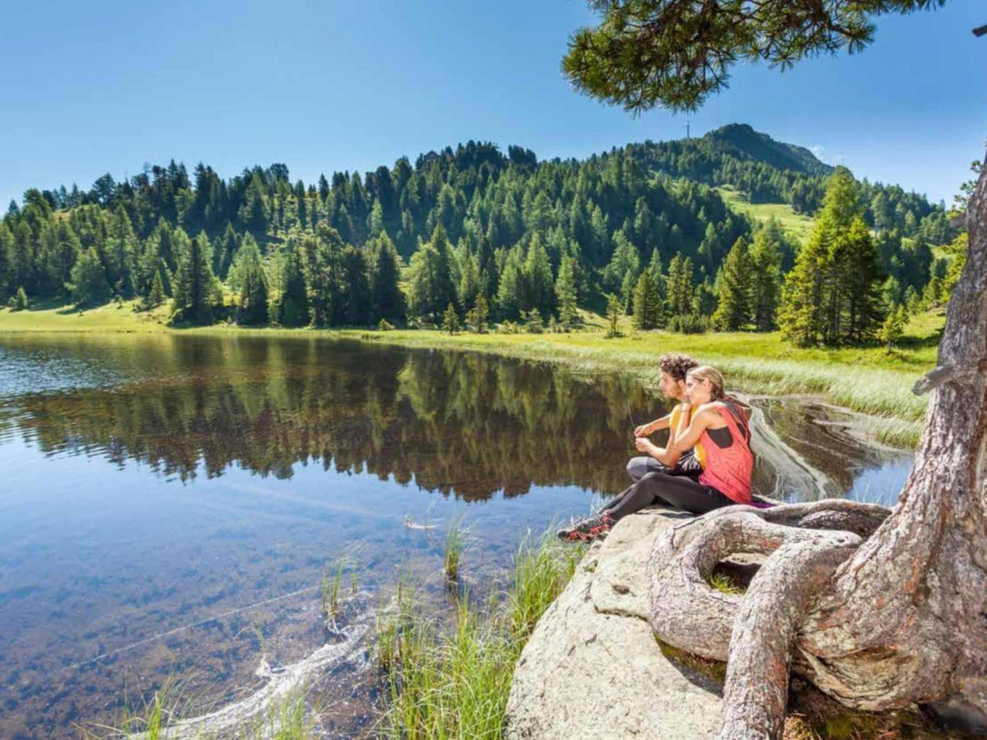 Mountain Chalet Berg-Glueck Sankt Lorenzen ob Murau Ngoại thất bức ảnh